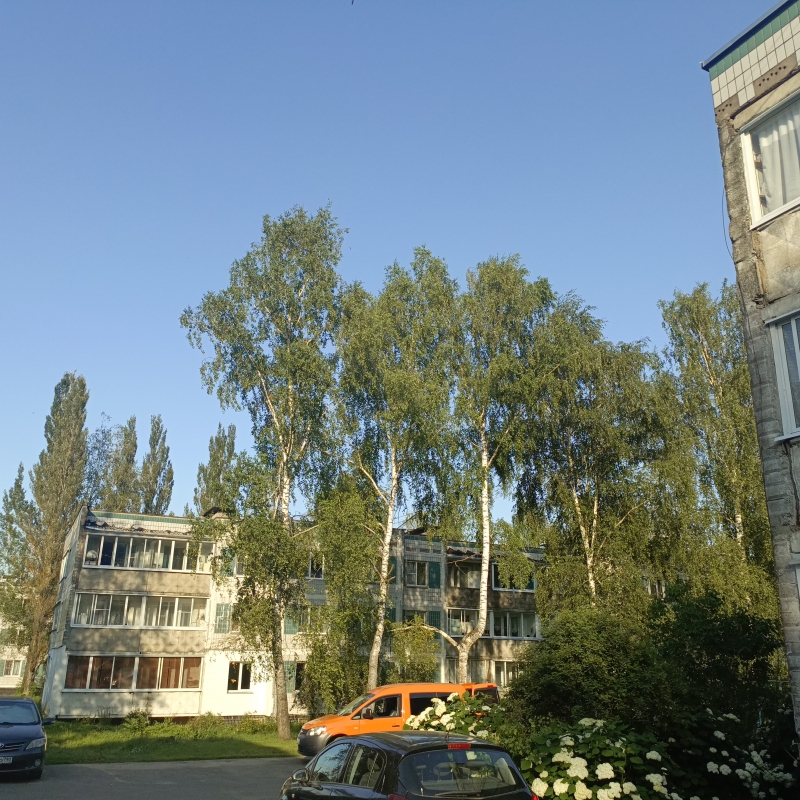 3-комнатная квартира в п.свх.Буденновец ул.Транспортная, д.6