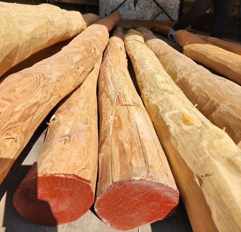 Акация, карагач пиломатериалы, кругляк, производитель.