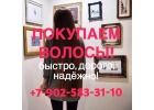 Продать волосы в Санкт-Петербурге. Дорого