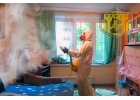 Уничтожение постельных клопов туманом