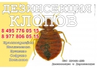 Уничтожение клопов,тараканов,блох,клещейдезинсекция профи-дез сэс Пушкино