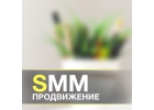 SEO продвижение сайтов SEO аудит сайта