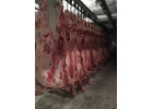 Говядина Баранина Курица Индюшка Оптом
